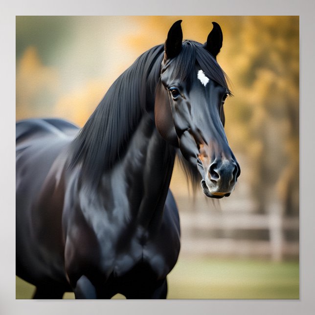 Póster Retrato de primer plano de un caballo negro (Frente)