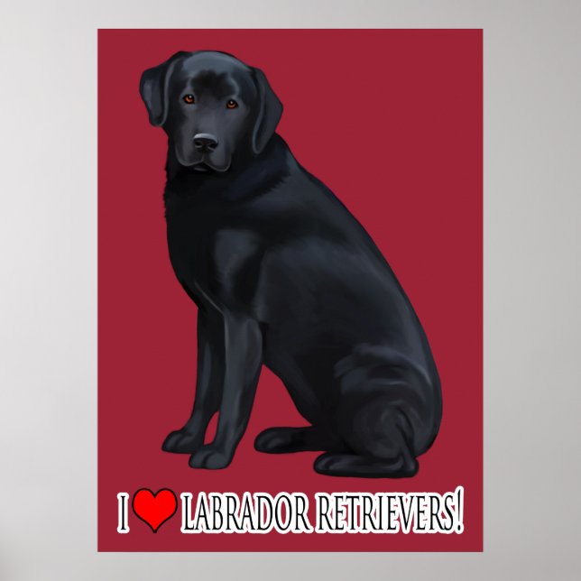 Póster Retrato de recuperador de labrador negro (Frente)