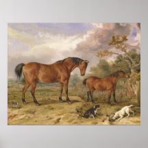 Retrato de reformador, Blucher, historia y cuna