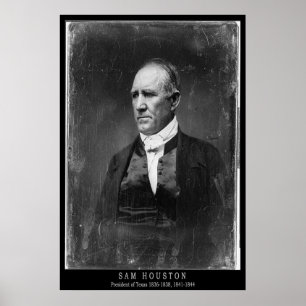 Póster Retrato de Sam Houston