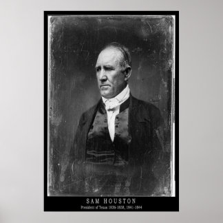 Póster Retrato de Sam Houston