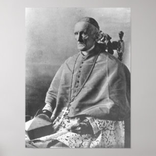Póster Retrato de servir cardinal