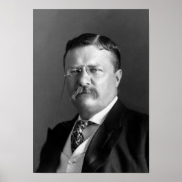 Póster Retrato de Teddy Roosevelt - 1904