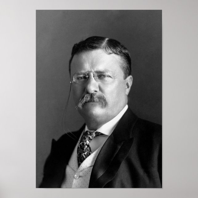Póster Retrato de Teddy Roosevelt - 1904 (Frente)