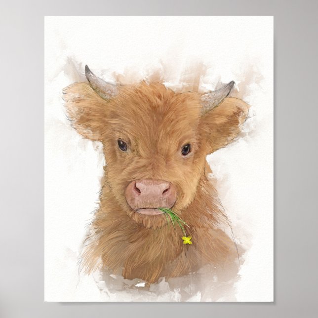 Póster Retrato de ternera de vaca Highland (Frente)