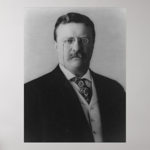 Póster Retrato de Theodore Roosevelt