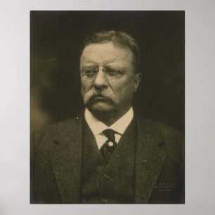 Póster Retrato de Theodore Roosevelt de los hermanos de