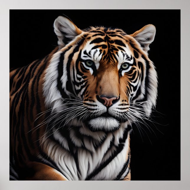 Póster Retrato de tigre (Frente)
