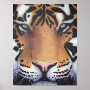 Póster Retrato de tigre