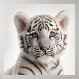 Póster Retrato de tigre blanco siberiano y bebé lindo | 1