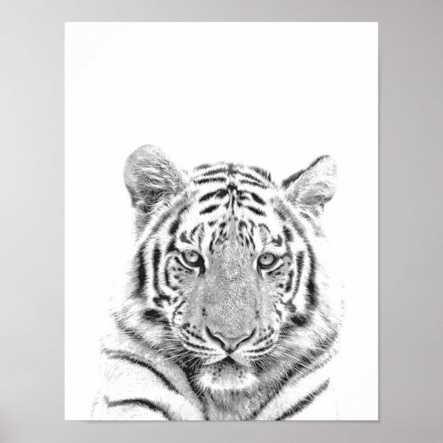 Póster Retrato de tigre blanco y negro (Frente)