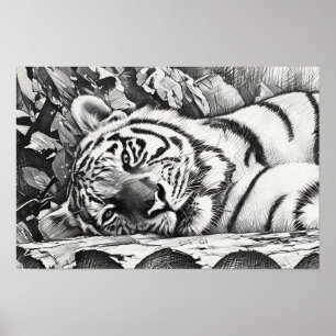 Póster Retrato de tigres en reposo