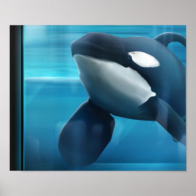 Póster Retrato de Tilikum (Frente)