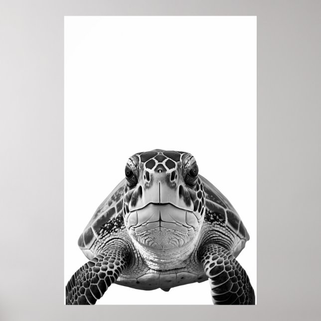 Póster Retrato de tortuga marina moderna blanco (Frente)