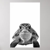 Retrato de tortuga marina moderna negro blanco