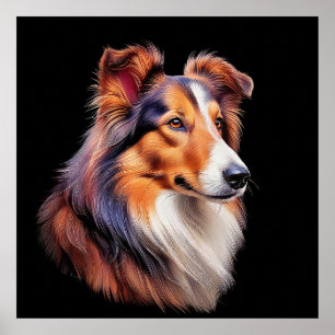 Póster Retrato de un collie