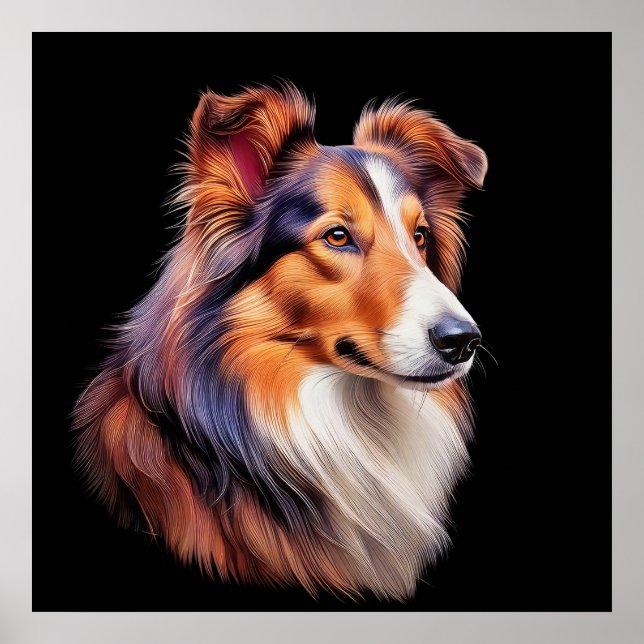 Póster Retrato de un collie (Frente)