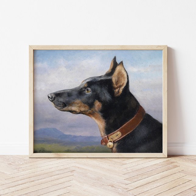 Póster Retrato de un doberman | Carl Reichert (Subido por el creador)