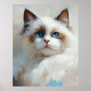 Póster Retrato de un elegante gato Ragdoll con ojos azule