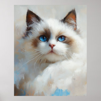 Póster Retrato de un elegante gato Ragdoll con ojos azule