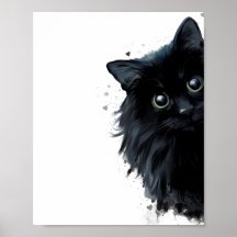 Retrato de un gato negro esponjoso