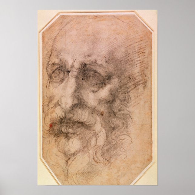 Póster Retrato de un hombre con barba (Frente)