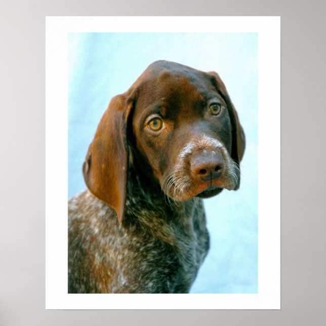 Póster Retrato de un perro (Frente)