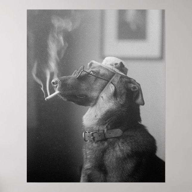 Póster Retrato de un perro, 1923. Foto antigua (Frente)