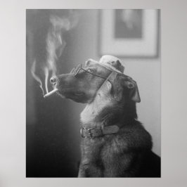 Póster Retrato de un perro, 1923. Foto de cosecha de vint