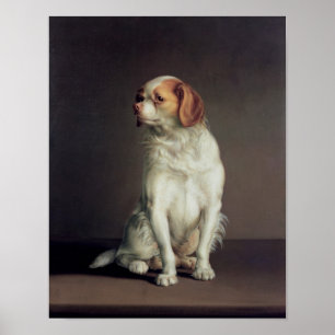 Póster Retrato de un perro de aguas de rey Charles