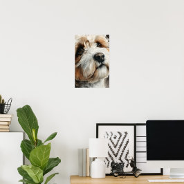 Póster Retrato de un perro shih-doodle