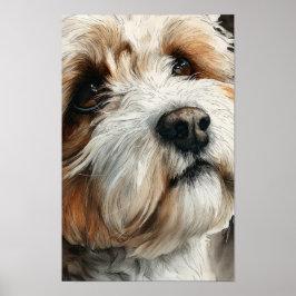Póster Retrato de un perro shih-doodle