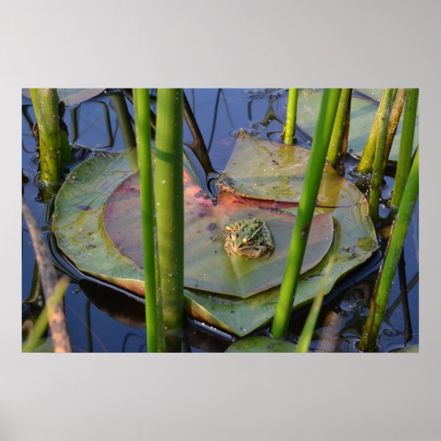 PÓSTER RETRATO DE UNA FRONTERA (Frente)