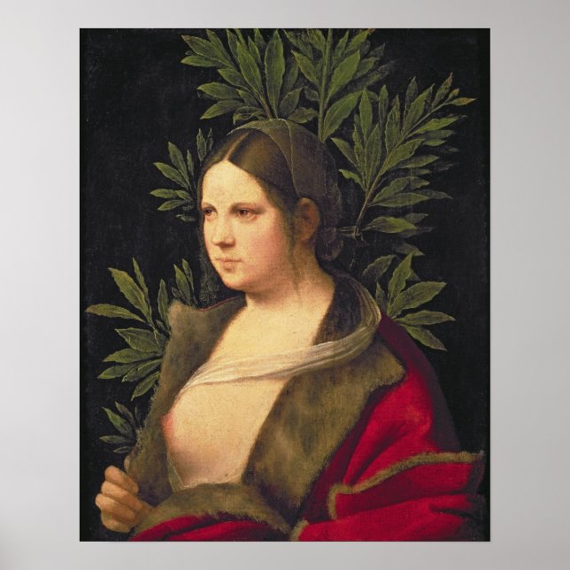 Póster Retrato de una joven mujer, 1506 (Frente)