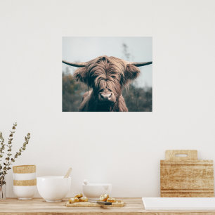 Póster retrato de vaca de las Highlands