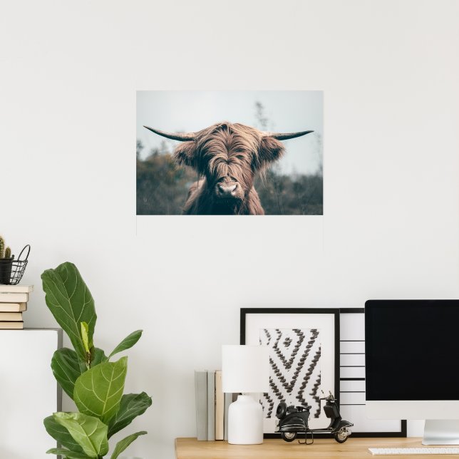 Póster retrato de vaca de las Tierras Altas (Oficina en casa)