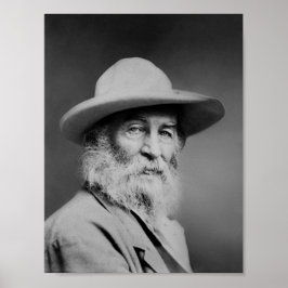Póster Retrato de Walt Whitman