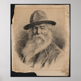 Póster Retrato de Walt Whitman del poeta por la valeriana