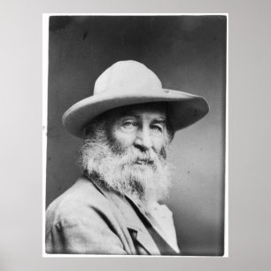 Póster Retrato de Walt Whitman, también conocido como la 