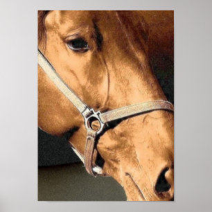 Póster Retrato del caballo