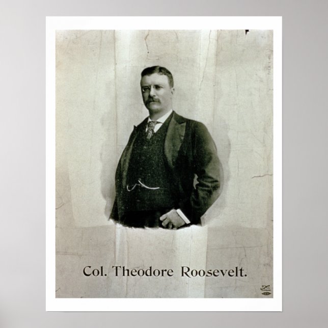 Póster Retrato del Coronel Theodore Roosevelt (litho) (Frente)