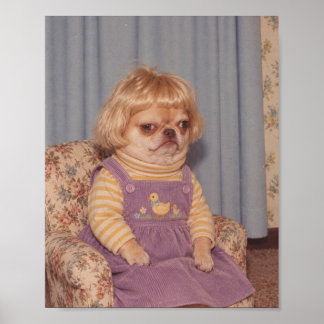 Póster Retrato del día de foto retro de Chihuahua gruñón