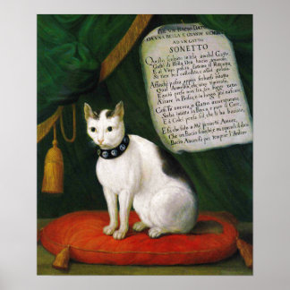 Póster Retrato del gato Armellino