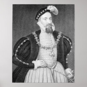 Póster Retrato del gris de Henry