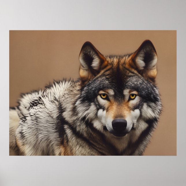 Póster Retrato del lobo (Frente)