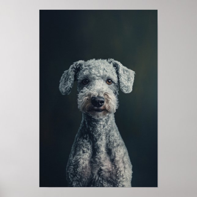Póster Retrato del mascota Grooming Salon Bedlington Terr (Frente)