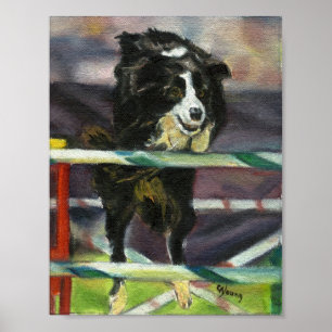 Póster Retrato del perro de la agilidad del border collie