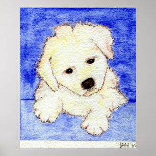 Póster Retrato del perro de perrito de Bichon Frise
