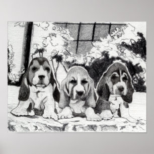 Póster Retrato del perro de perritos de Basset Hound