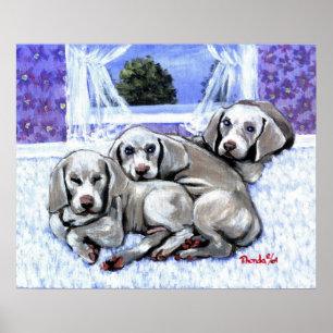 Póster Retrato del perro de perritos de Weimaraner